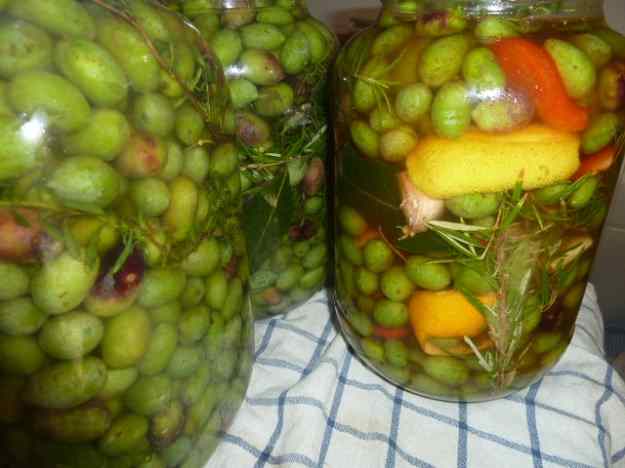 Conserva d'olives verdes